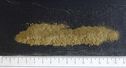 Basil powder HT