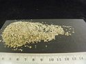 Basilic flocon MP