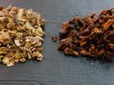 Cep Bol. Edulis 4-6 HT China