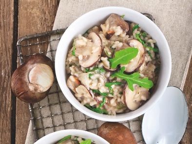 Champignon couche tranche Bio