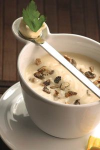 Boletus Luteus powder