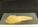 Boletus Luteus poudre