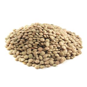 Lentil powder