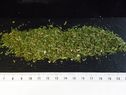 Herbs for roasts