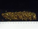 Duxelles of roasted mushrooms WP