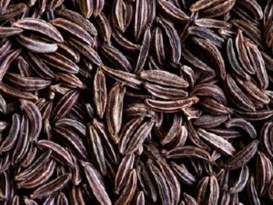 Carvi noir poudre TT