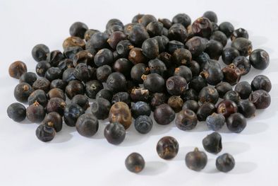 Baies de genièvre TT