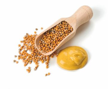 Moutarde graine jaune