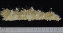 wheat gluten